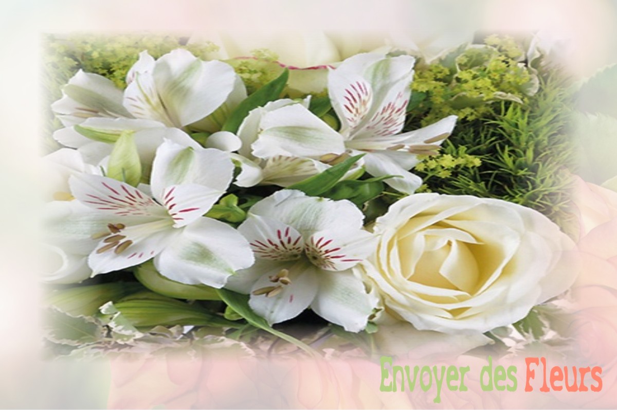envoyer des fleurs à à ASNIERES-EN-POITOU