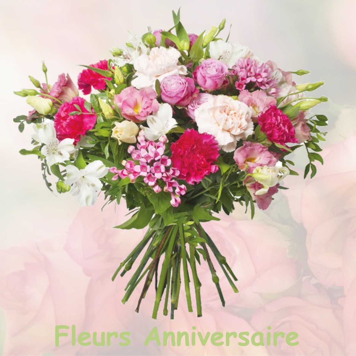 fleurs anniversaire ASNIERES-EN-POITOU